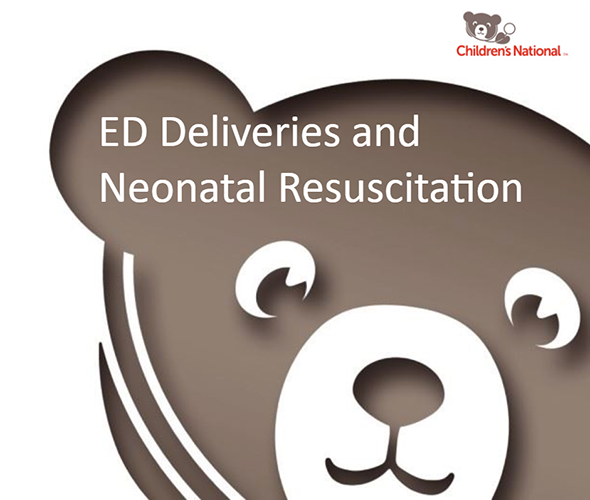 ED Deliveries and Neonatal Resuscitation Curriculum